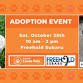 Woodfield Christmas Tree Farm Adoption Event event image