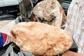 Perlu anda ketahui bahwa salah satu dari. Ambergris Bisa Menguntungkan Dan Legal Ini Kumpulan Faktanya Halaman All Kompas Com