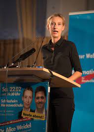 Bei einer mitgliederbefragung erzielten sie 71,03 prozent der stimmen. Afd Veranstaltung In Schriesheim Energische Rede Zogerliche Antworten Bergstrasse Rnz