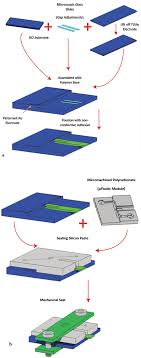 An innovative cellular medicine approach via the utilization of novel  nanotechnology-based biomechatronic platforms as a label-free biomarker for  early melanoma diagnosis | Scientific Reports