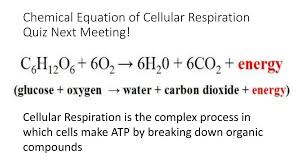 What Is The Balanced Equation For Aerobic Cellular Respiration Tessshebaylo