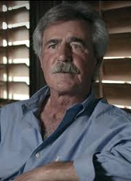 Silicon Cowboys (2016)