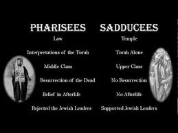 Pharisees And Sadducees Bible Study Help Christian Life Jesus Quotes