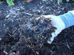 Check spelling or type a new query. What Is The White Stuff In My Soil That Bloomin Garden