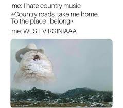 I fell in love with the bongo cat meme the second i saw it pop up in my twitter feed so i needed to try myself on one of these edits. 26 Random Memes That Are Amusing For No Reason Memebase Funny Memes