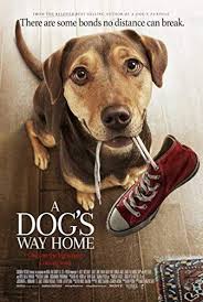 A Dog S Way Home 2019 Full Movies Online Free Free Movies Online Full Movies