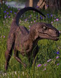 Velociraptor Jurassic World Evolution Wiki Fandom This is released as one of the new lego jurassic world sets, but our first from the iconic.