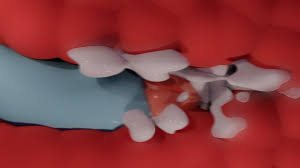 Rule34 - If it exists, there is porn of it   7614768