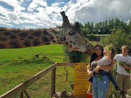 February Fun For Your Flock 13 South Lakes Safari Zoo