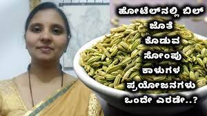 Fennel Seeds Benefits For Breast Growth,ಹೋಟೆಲ್‍ನಲ್ಲಿ ಬಿಲ್ ಜೊತೆ ಕೊಡುವ ಸೋಂಪು  ಕಾಳುಗಳ ಪ್ರಯೋಜನಗಳು ಒಂದೇ ಎರಡೇ..? - incredible health benefits of fennel seeds  or saunf - Vijay Karnataka