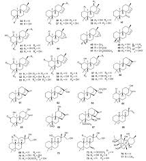 Image result for Erythroxylum zambesiacum