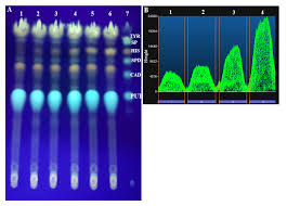 Check spelling or type a new query. A Thin Layer Chromatographic Tlc Plate Of Spiked Canned Tuna Download Scientific Diagram