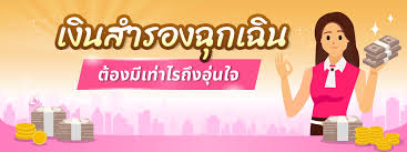 เงินสํารองฉุกเฉิน ภาษาอังกฤษ