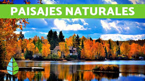 Paisajes de ensueño moldeados por la magia de la luna. Paisajes Naturales Relajantes Naturaleza Hd Youtube