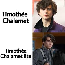Now you are dating him in real life and he is very happy with you. Lite Timothee Chalamet 13reasonswhy