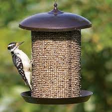 Duncraft Com Sunflower Screen Feeder Bird Feeders Best Bird Feeders Backyard Birds Feeders