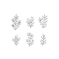 Minna May Design Drawing Plants Png Flower Drawing Design Plant Illustration Minimalist Flowers
