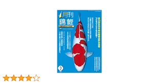 鯉 速報