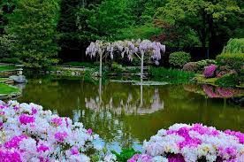 Spring Seattle Japanese Garden Seattle Japanese Garden Japanese Garden Garden Photography