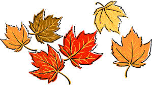 Pildiotsingu MAPLE CARTOON tulemus