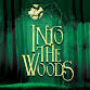 Into The Woods event image