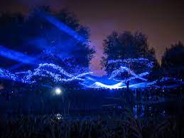 We did not find results for: Waterlicht Dune Studio Roosegaarde