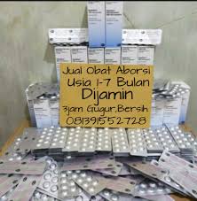 Harga jenis obat standar : Toko Jual Obat Aborsi Ampuh 3jam Langsung Gugur Tuntas Cytotec Asli Siap Cod Di Jakarta 081391552728