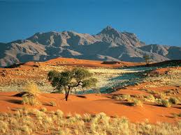 1391501744 Jpg Image Jpeg 1024 768 Pixels Redimensionnee 92 Paysage Desert Deserts Du Monde Desert Du Namib