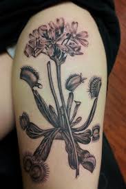 One for my fellow winter babies! Pin By Nick Violette On Tattoos Tattoos Plant Tattoo Cool Tattoos