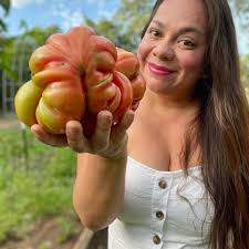 Inexpensive restaurants for adventurous kids