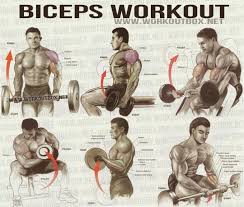 biceps workout fitness workouts