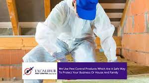 Excalibur pest control is the solution for all your problem pests in essex & suffolk. Excalibur Pest Control Pest Control New Lambton Yellow Pages