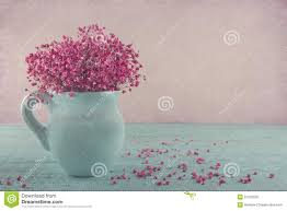 Pink Baby S Breath Flowers In A Blue Jug Stock Image Image Of Gypsophila Chic 31576235