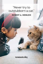 Valentine's day and friendship day make great opportunities to let friends know how much they are loved and appreciated. 38 Best Cat Quotes Cute Cat Sayings To Describe Your Kitten