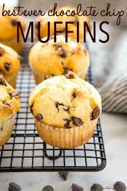 Best Ever Chocolate Chip Muffins The Busy Baker Recipe In 2020 Chocolate Chip Muffins Chocolate Chip Scrumptious Desserts
