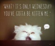 Lovethispic offers good morning happy wednesday snowman quote pictures, photos & images wednesday quotes for friends and family pictures, photos, images, and pics for facebook, tumblr, pinterest. Funny Wednesday Quotes Pictures Photos Images And Pics For Facebook Tumblr Pinterest And Twitter