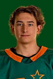 Austin Bruce Stats and Player Profile