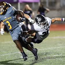 Roundup: Cathedral back