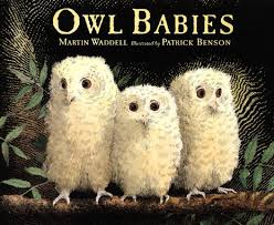 Pin By Skool Aid Products On For Educators Owl Babies Book Baby Owls Owl