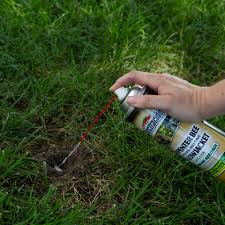Spectracide Carpenter Bee And Yellow Jacket Killer 16 Oz Insect Killer In The Pesticides Department At Lowes Com
