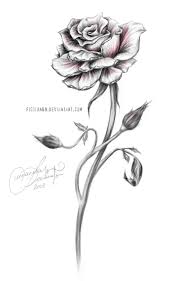 Absolutely In Love With This Tattoo S Tattoo Drawings Tattoos Rose Tattoos