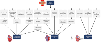 Once this information has been verified, you will be able to download your digital proof of vaccination. Nt Probnp In Patients With Covid 19 Response Biomedical