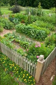 Birdhouse Fences Garden Layout Vegetable Vegetable Garden Design Garden Layout