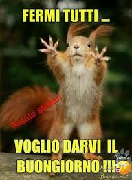 Immagini Di Buongiorno Nuove Per Whatsapp Pagina 8 Di 87 Buongiornoamici It Buongiorno Divertente Buongiorno Divertente