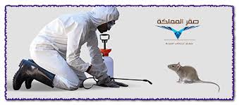 شركة مكافحة الفئران بالرياض تعمل على التخلص من الفئران بشكل فعال جدا لانه الشركة الافضل على الاطلاق وهذا لاننا ندرك مدى خطورة تواج Baseball Cards Sports Poster