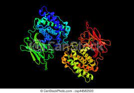 Clostridium Perfringens Alpha Toxin Produced By The Bacterium Clostridium Perfringens C Perfringens And Responsible For Canstock