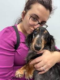 Good morning everyone, thank you to whoever invited me to this group. I had  a hard time deciding whether to do fostering again, but knowing my heart  still hurts from losing my