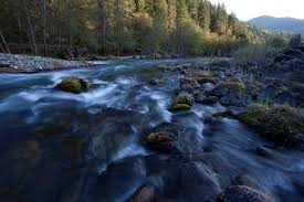 Check spelling or type a new query. The 10 Best Places To Camp For Free In Northern California