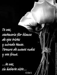 Te consideraba mi amiga del alma, eras un miembro más de mi familia, te abrí las puertas. Imagenes Con Frases Tristes Para Tener Recuerdos Lindos