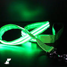 Led Dog Leash Usb Rechargeable Make You Your Dog Visible 5 Colours Blue Red Green Lime And Pink See Matching Rec Dog Leads Leash Dog Accessories Dog Leash